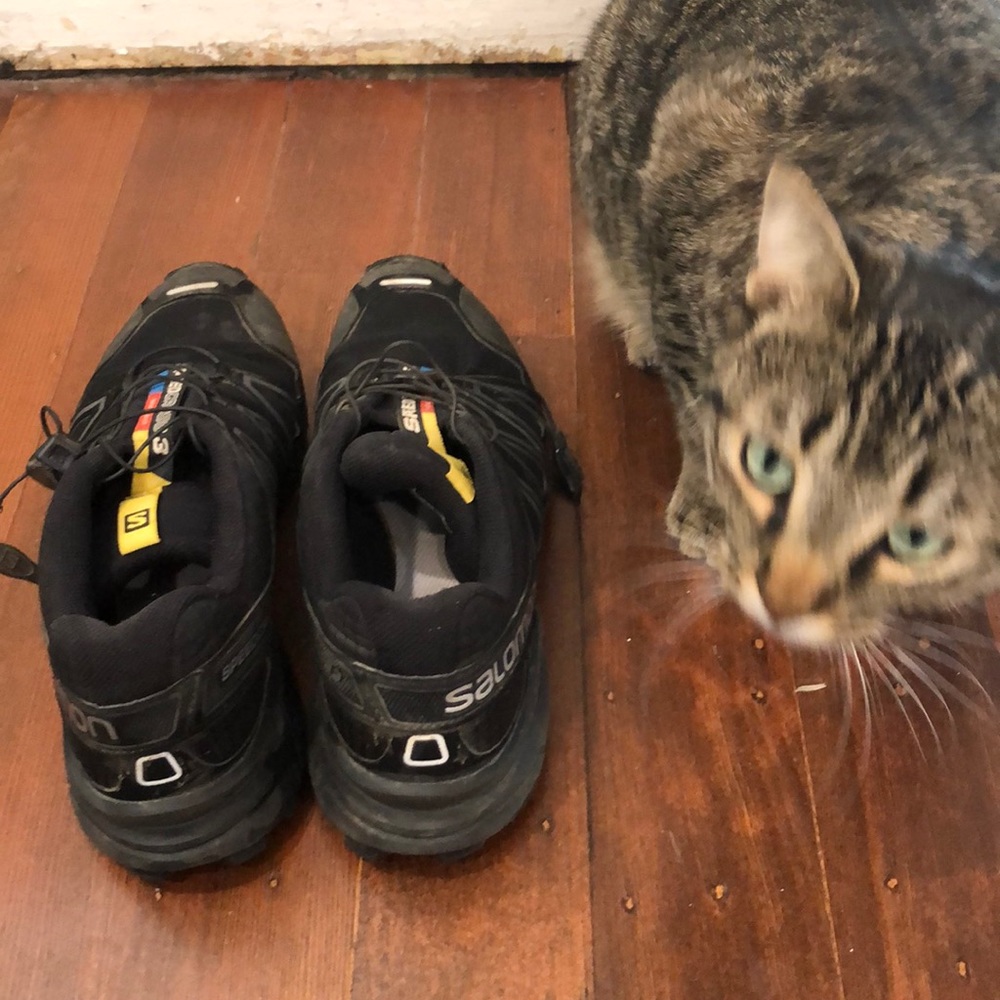 Salomon Speedcross Trail Runners/Hiking Shoes